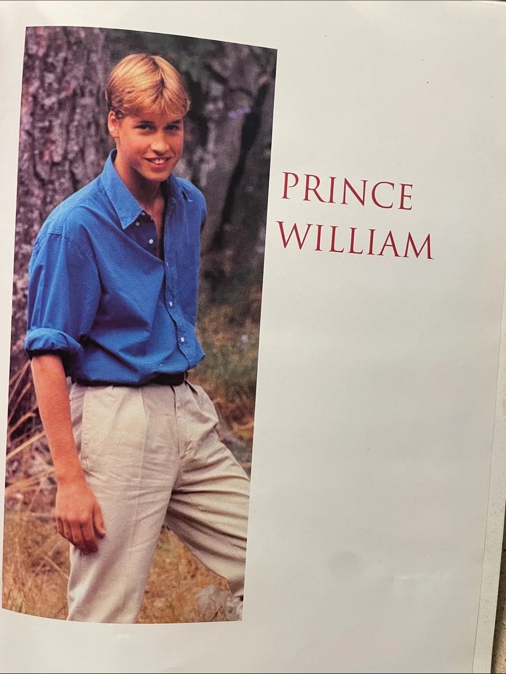 Barnes & Noble Prince William Coffee Table Book - Blue Cover, Cream Pages